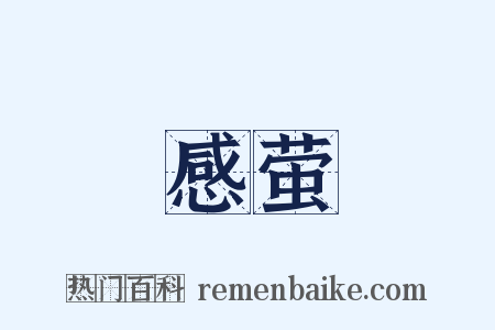 感萤是什么意思的图片